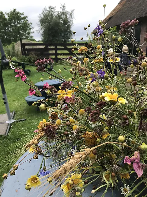 Een bos wilde bloemen uit de tuin, met de boerderij op de achtergrond